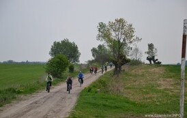 rrr2604201424