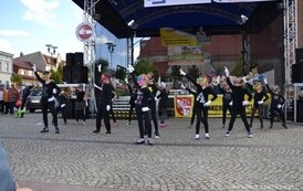 tm0305201466