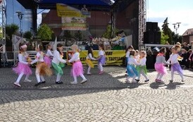 tm0305201460