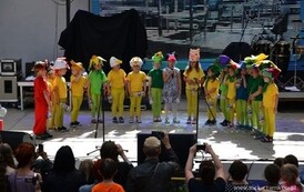 dzc_pm_1506201418