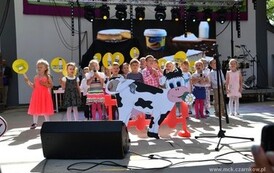 dzc_pm_1506201413