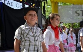 dzc_pm_1506201406