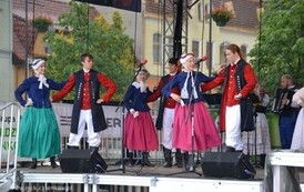 dzc_jn_1406201421