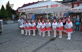 dzc_ko_1306201414