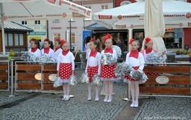 dzc_ko_1306201406