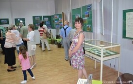 dzc_wm_1206201404