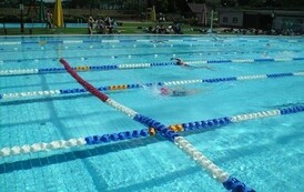 dzc_zp_1206201408