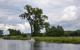 dzc_rr_1406201447