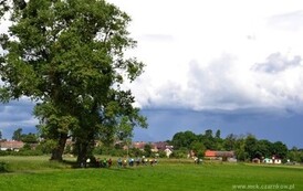 dzc_rr_1406201414