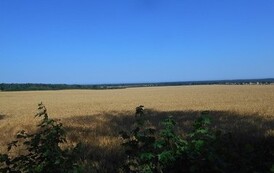 wr17062014274