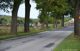 nk1008201412