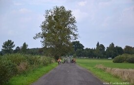 rj3008201454