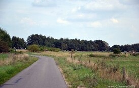 rj3008201453