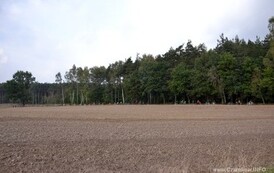 edbs2109201417