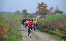 rr1111201429