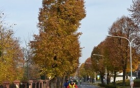 rr1111201416