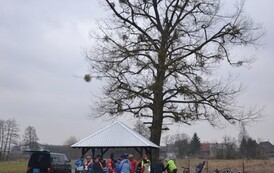 pw1403201550