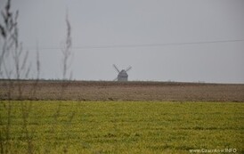 pw1403201525