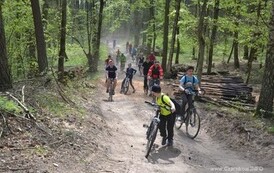 rrr25042015101