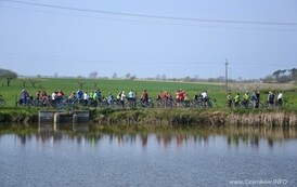 rrr2504201537