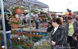 at2604201541