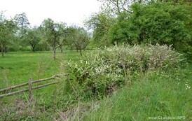 rrr0905201528