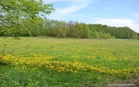 rrr0905201527