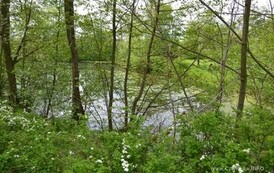 rrr0905201526