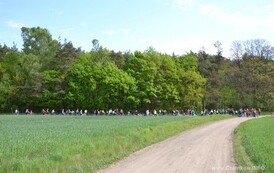 rrr0905201524