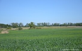 rf2405201513