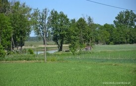 rf2405201512