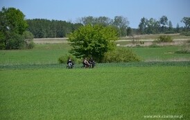 rf2405201508