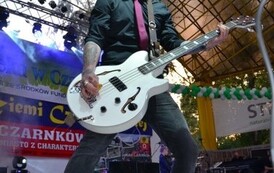 dzc_pm_14062015115