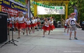 dzc_pm_1406201571