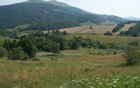 rb2006072515