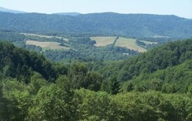 rb2006072509