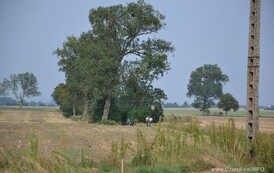 nk1608201527