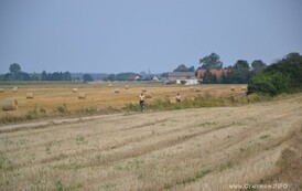 nk1608201524