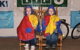 20082006133