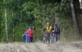 rrr0509201568