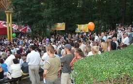 20082006118