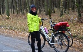 rp1111201529