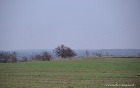 rp1111201525