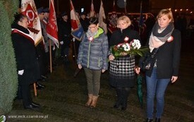 ns1111201523