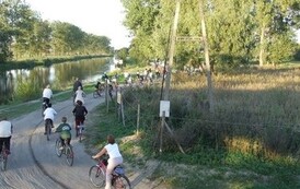bz2006092249