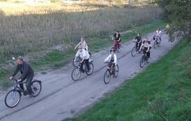 bz2006092241