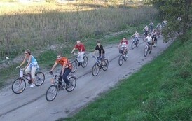 bz2006092240