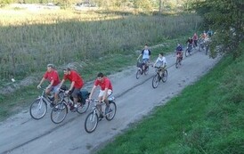 bz2006092239