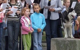 sdm0109200607