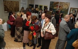 salonwp2411022610